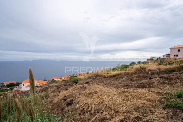 Terreno para Venda em Gaula Foto 5
