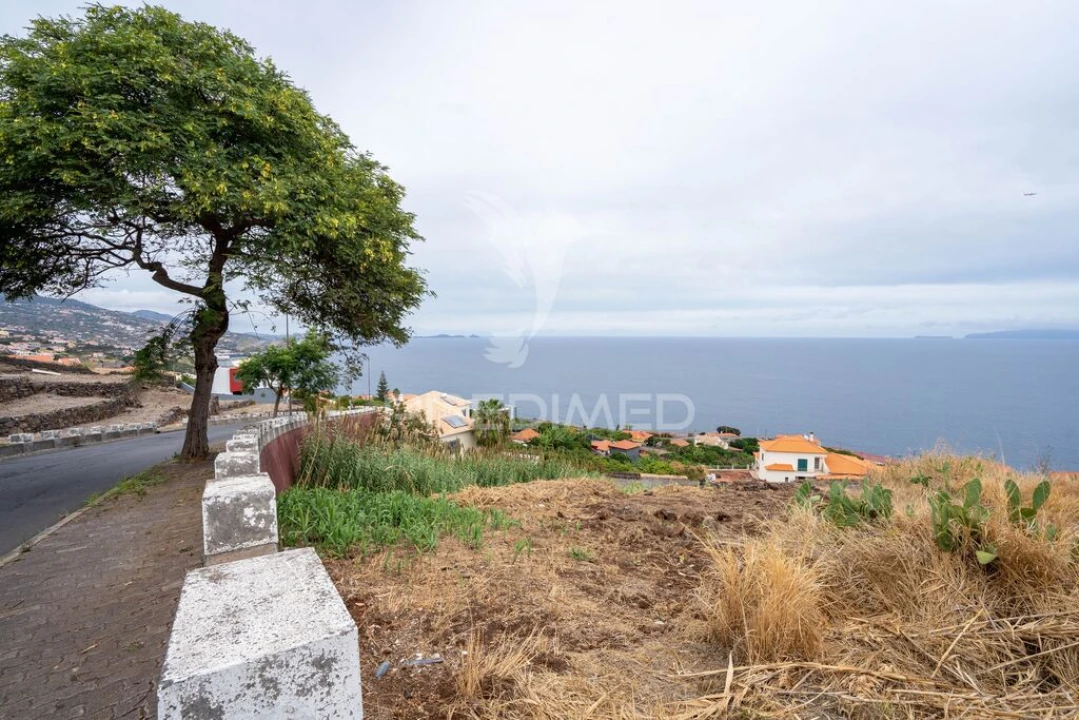 Terreno para Venda em Gaula Foto 6