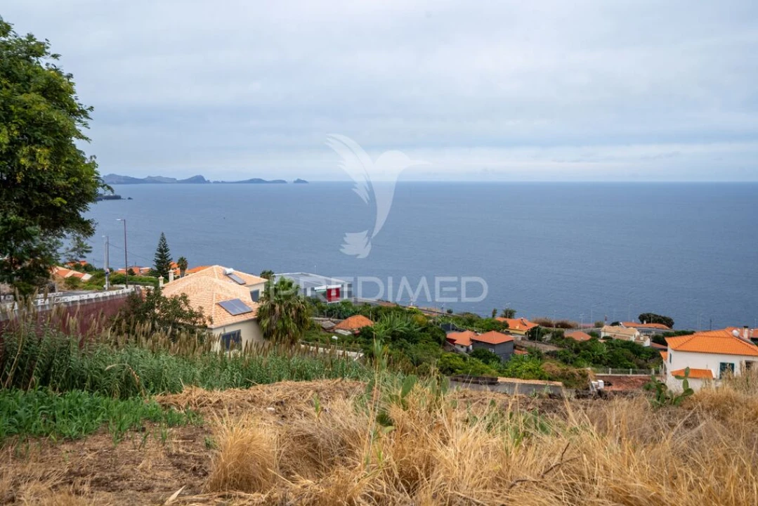 Terreno para Venda em Gaula Foto 3