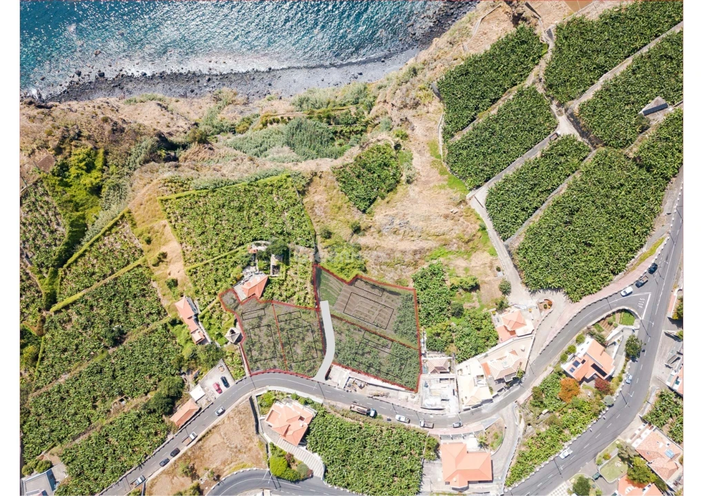 Terreno para Venda em Ribeira Brava Foto 3