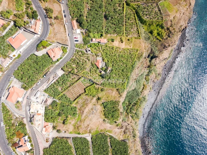 Terreno para Venda em Ribeira Brava Foto 14