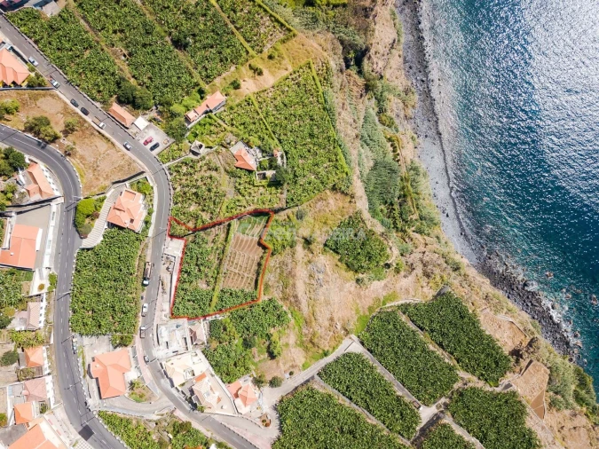 Terreno para Venda em Ribeira Brava Foto 4