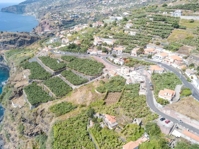 Terreno para Venda em Ribeira Brava Foto 6
