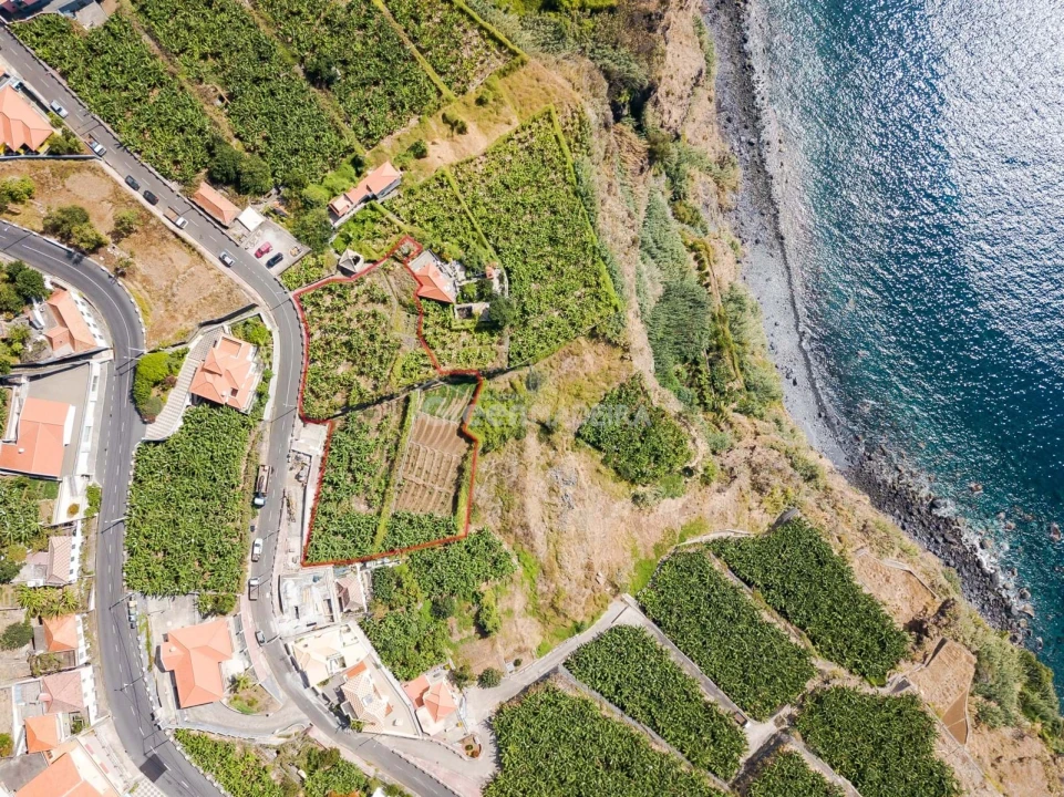 Terreno para Venda em Ribeira Brava Foto 13