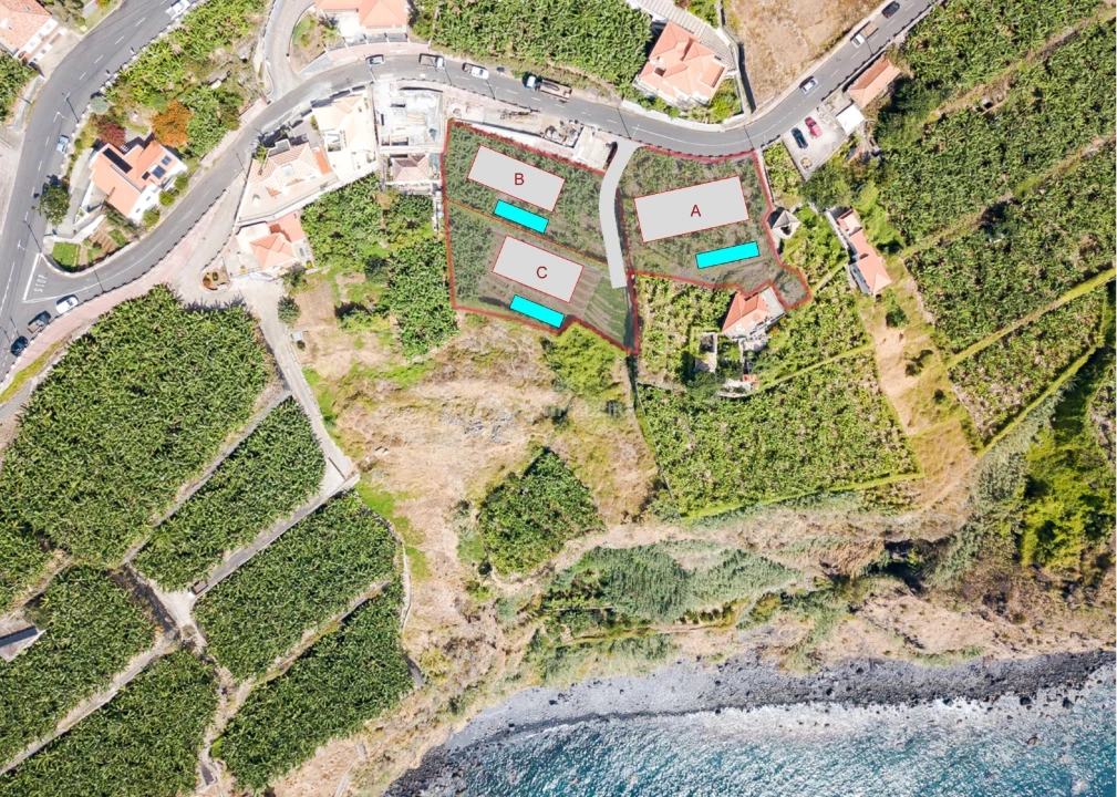 Terreno para Venda em Ribeira Brava Foto 3