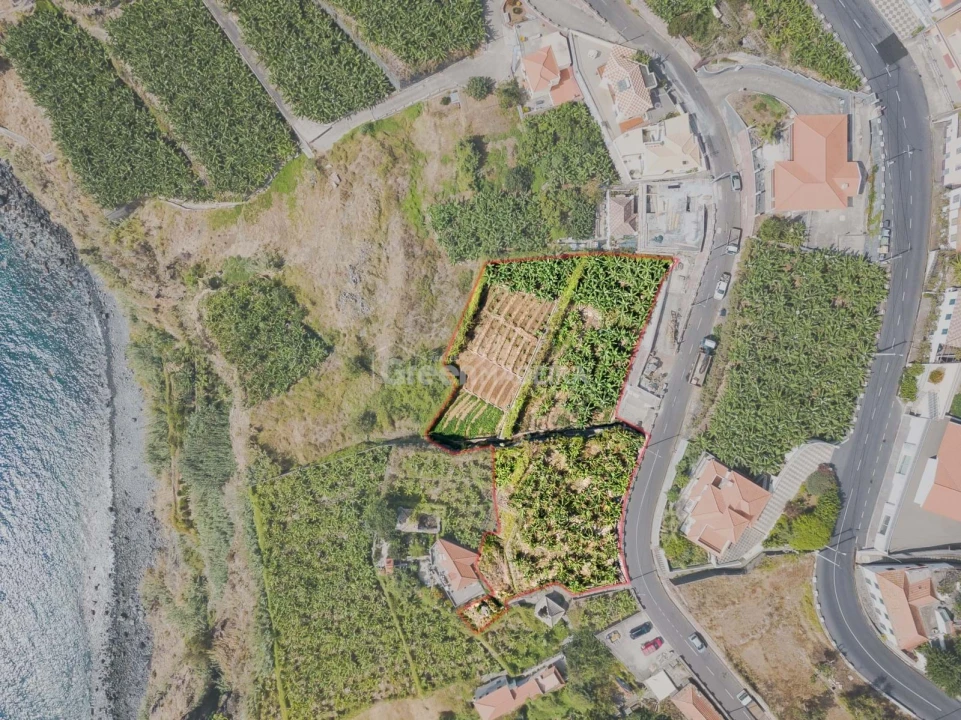 Terreno para Venda em Ribeira Brava Foto 10