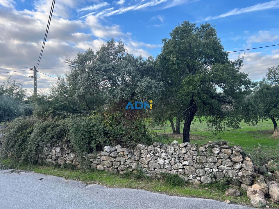 Quinta para Venda em Castelo Branco Foto 12