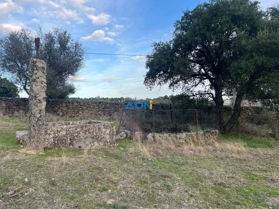 Quinta para Venda em Castelo Branco Foto 38