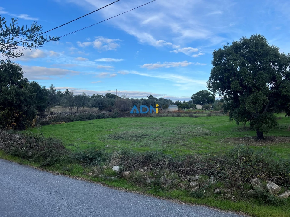 Quinta para Venda em Castelo Branco Foto 5
