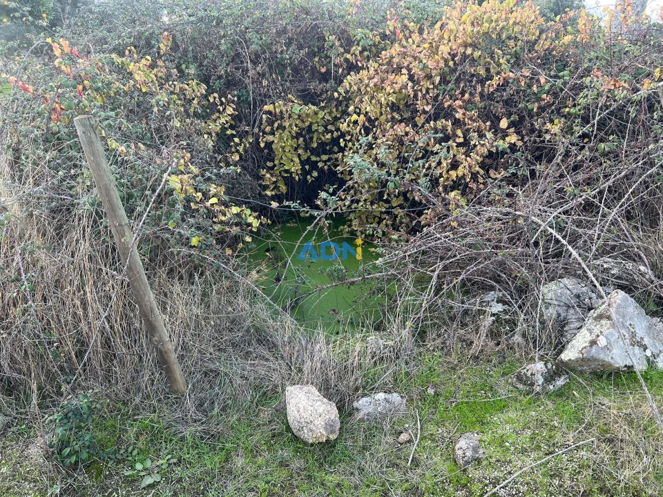 Quinta para Venda em Castelo Branco Foto 45