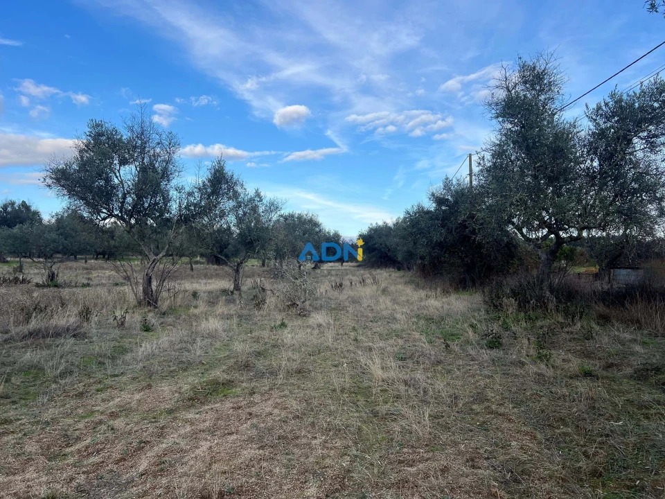 Quinta para Venda em Castelo Branco Foto 16