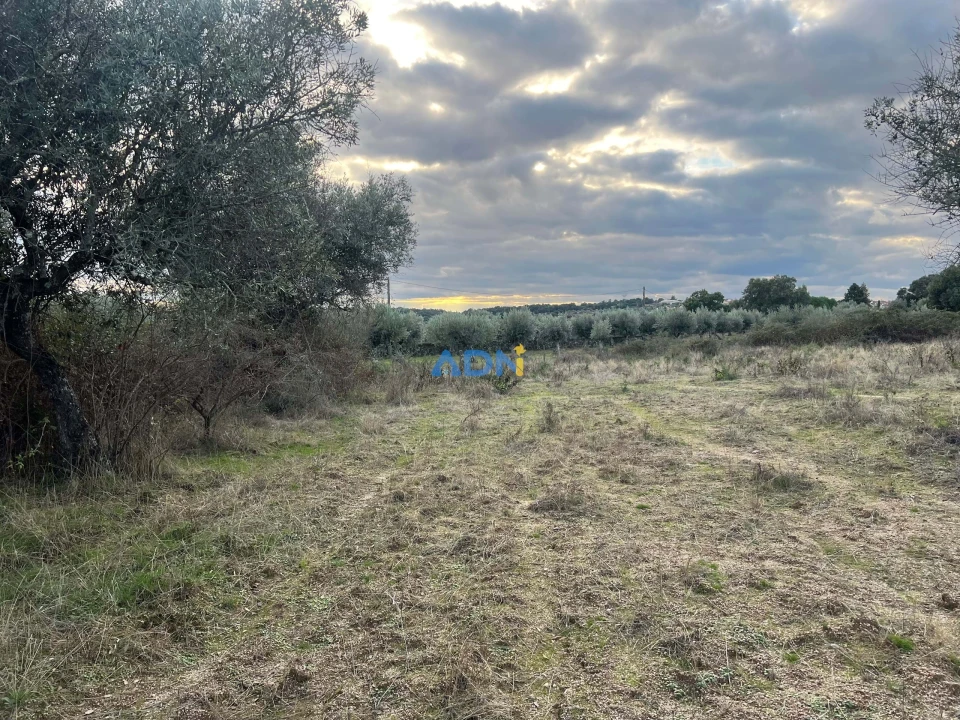 Quinta para Venda em Castelo Branco Foto 17