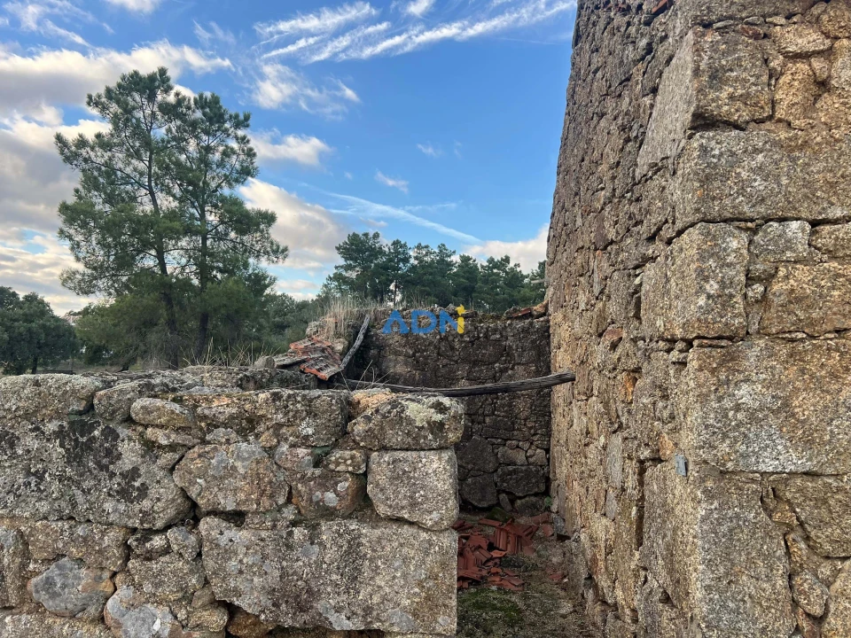 Quinta para Venda em Castelo Branco Foto 19