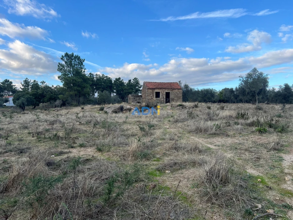 Quinta para Venda em Castelo Branco Foto 3