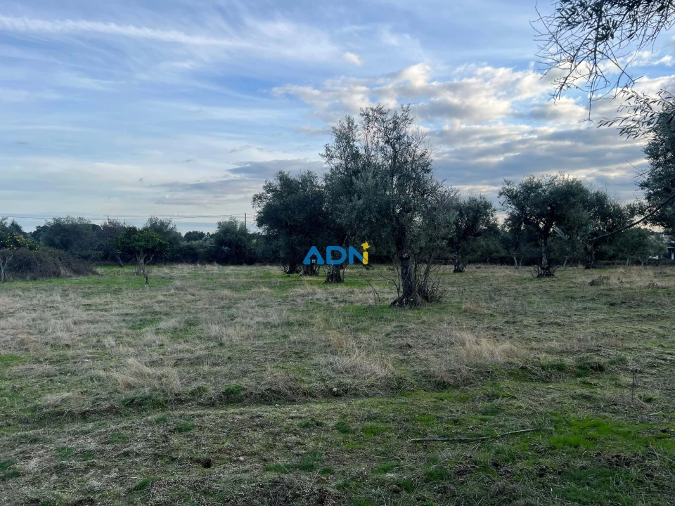 Quinta para Venda em Castelo Branco Foto 32