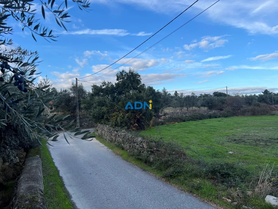 Quinta para Venda em Castelo Branco Foto 8