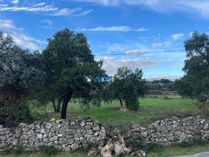 Quinta para Venda em Castelo Branco Foto 11
