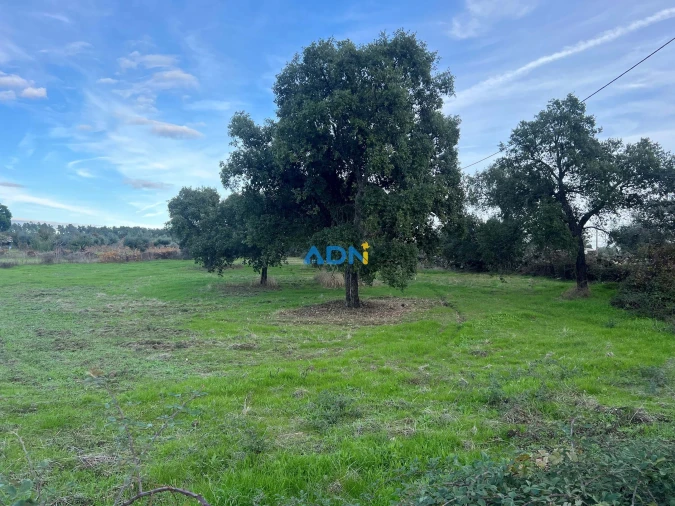 Quinta para Venda em Castelo Branco Foto 13