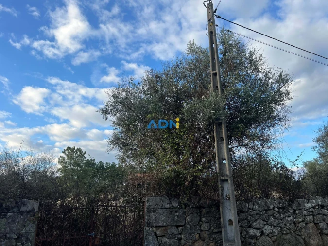 Quinta para Venda em Castelo Branco Foto 62