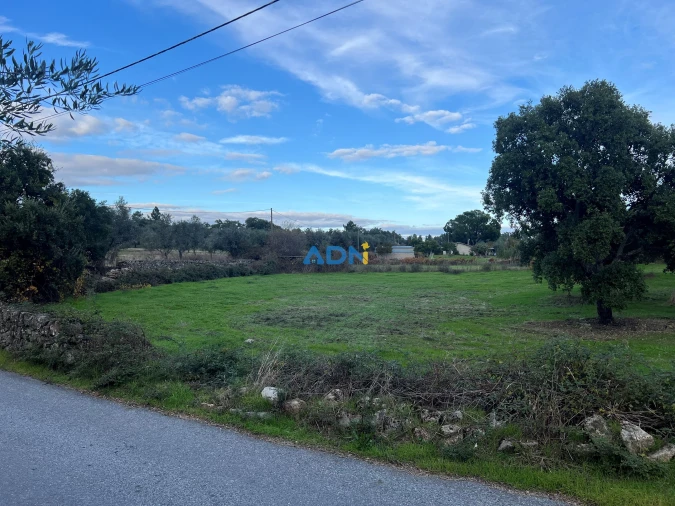 Quinta para Venda em Castelo Branco Foto 5