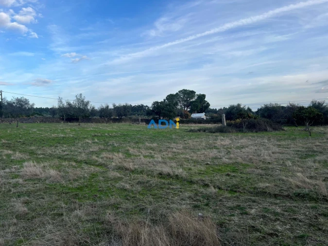 Quinta para Venda em Castelo Branco Foto 31