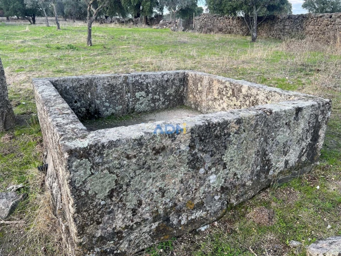 Quinta para Venda em Castelo Branco Foto 41