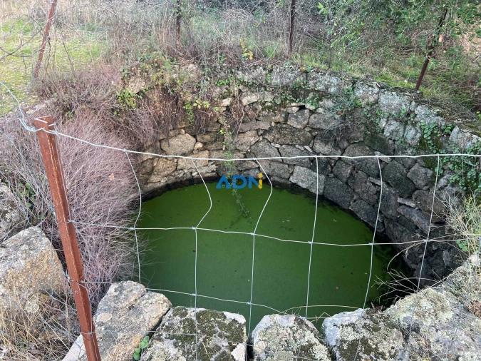 Quinta para Venda em Castelo Branco Foto 40