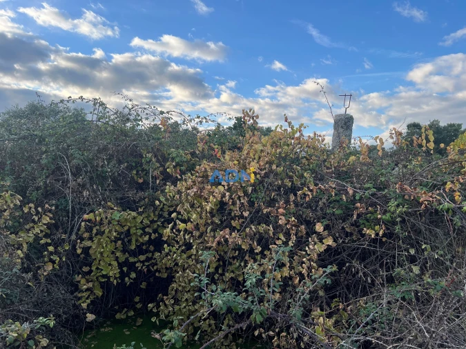 Quinta para Venda em Castelo Branco Foto 47