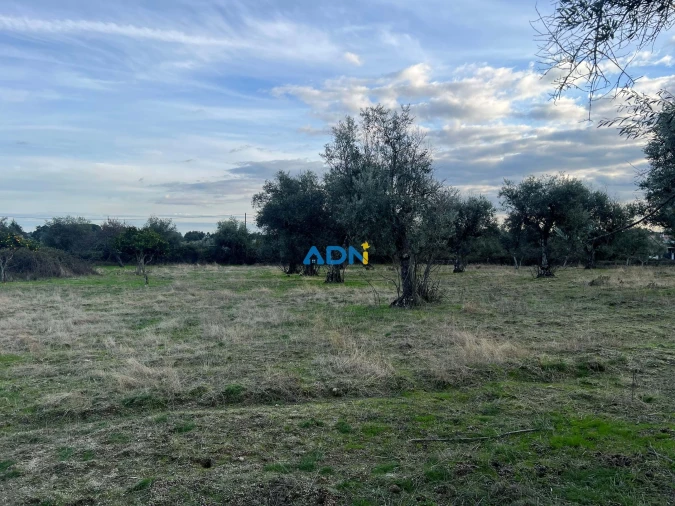 Quinta para Venda em Castelo Branco Foto 32