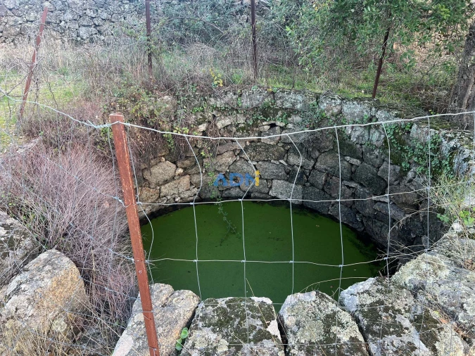 Quinta para Venda em Castelo Branco Foto 39