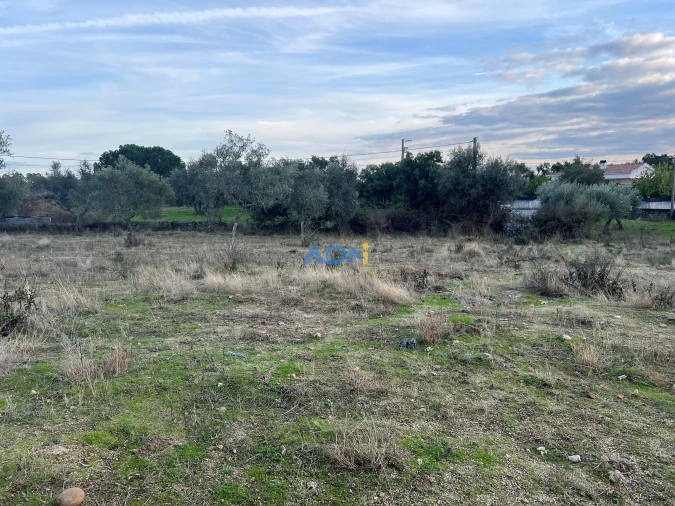 Quinta para Venda em Castelo Branco Foto 61