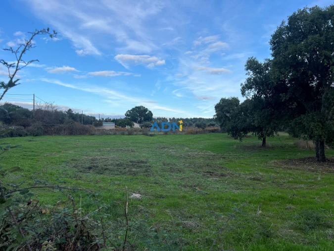 Quinta para Venda em Castelo Branco Foto 14