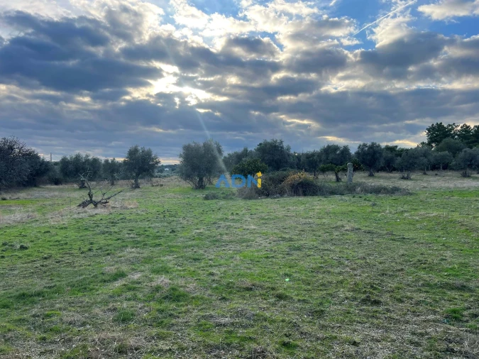 Quinta para Venda em Castelo Branco Foto 43