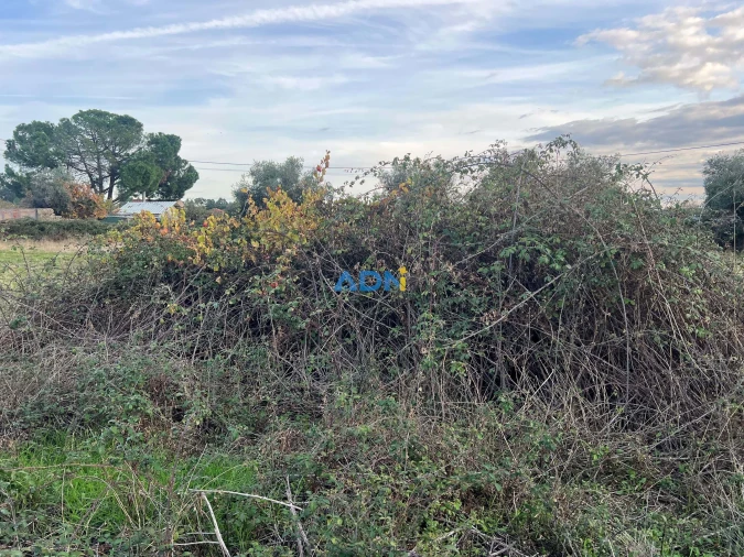 Quinta para Venda em Castelo Branco Foto 36