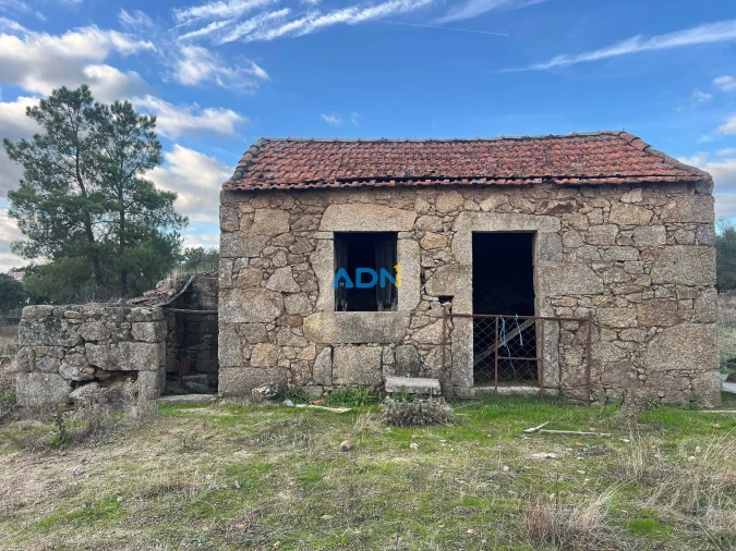 Quinta para Venda em Castelo Branco Foto 2
