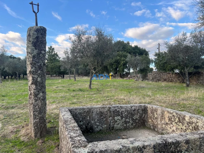Quinta para Venda em Castelo Branco Foto 42