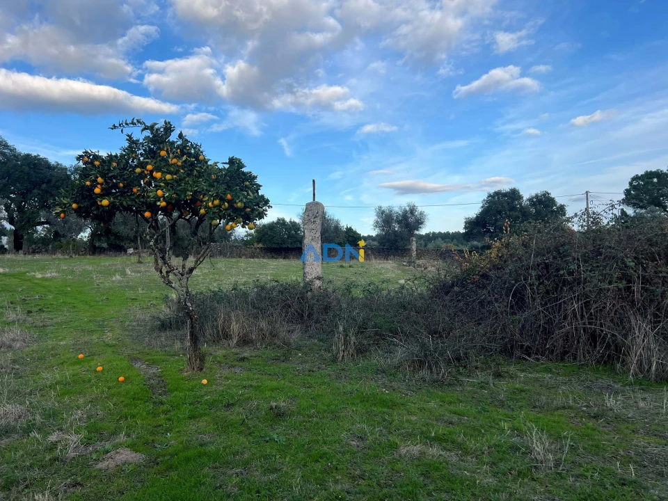 Quinta para Venda em Castelo Branco Foto 50
