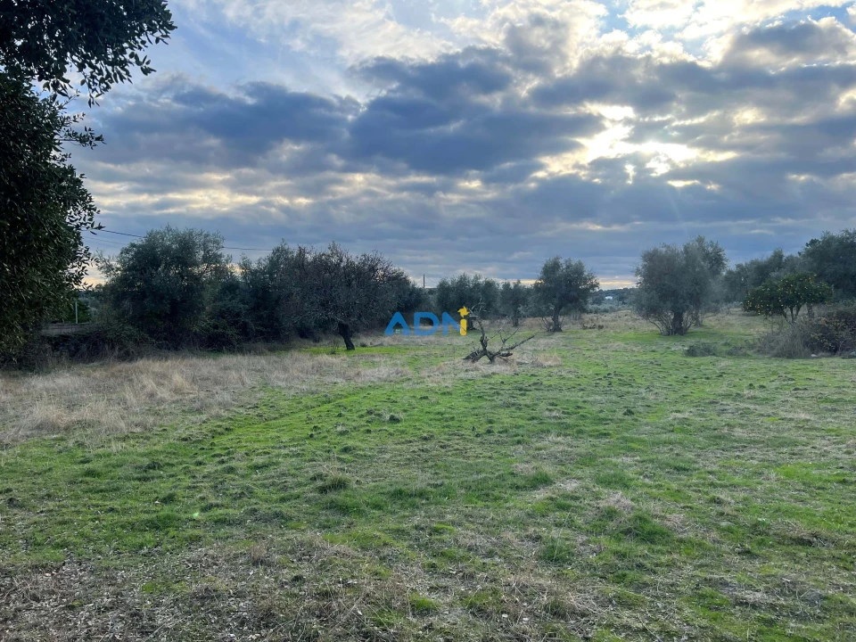 Quinta para Venda em Castelo Branco Foto 44