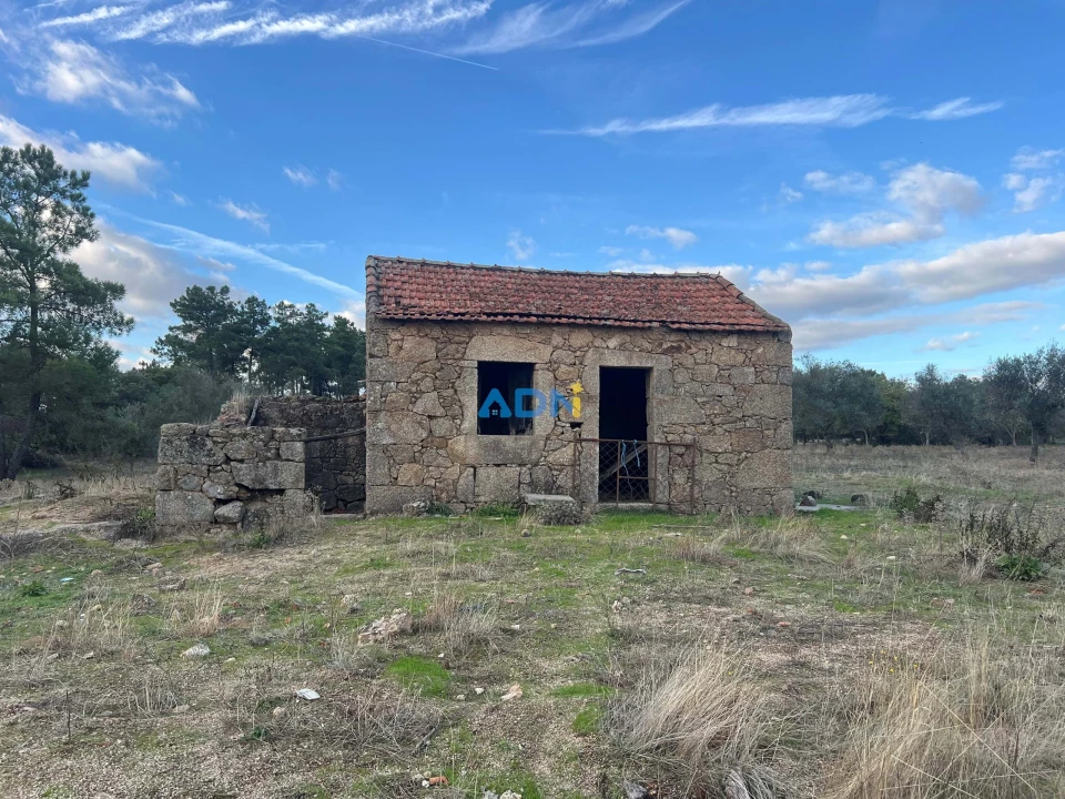 Quinta para Venda em Castelo Branco Foto 1