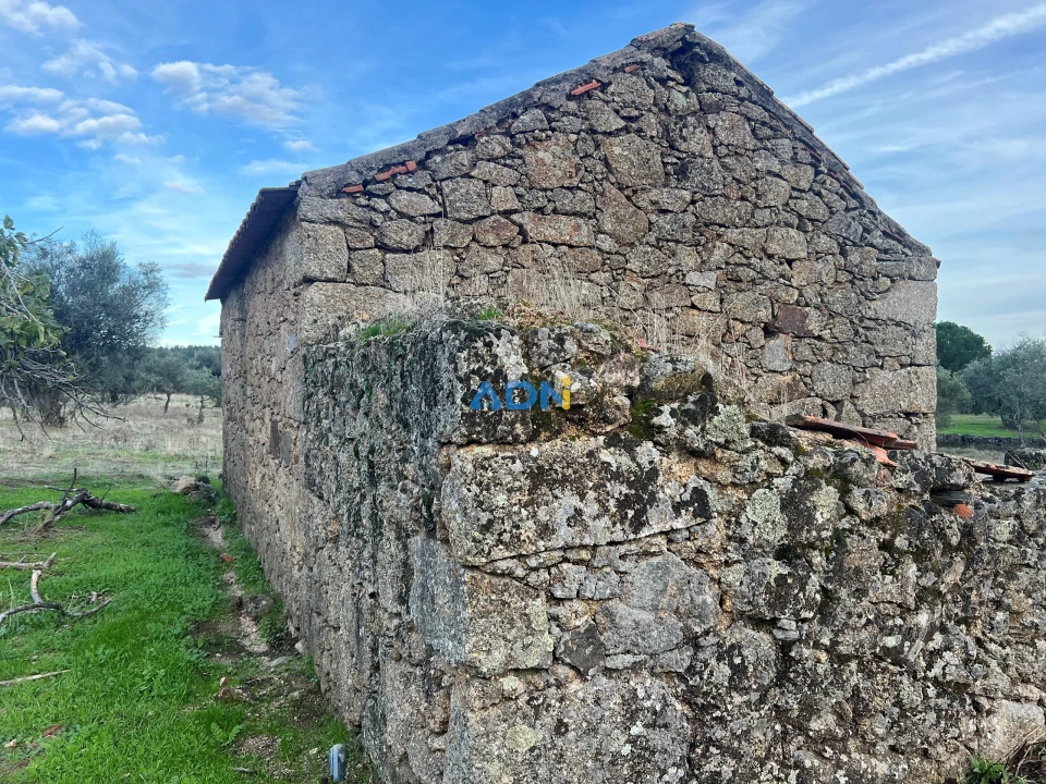 Quinta para Venda em Castelo Branco Foto 20