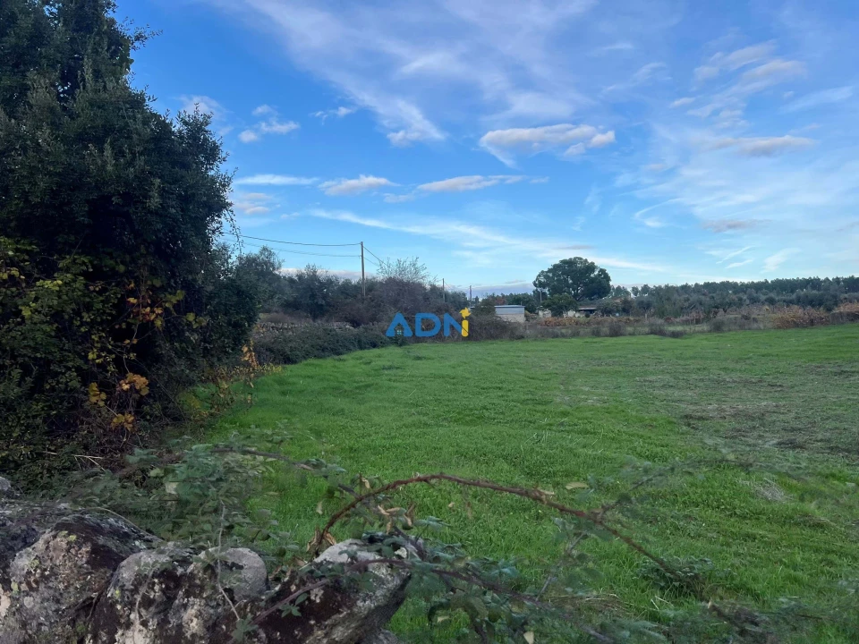 Quinta para Venda em Castelo Branco Foto 15