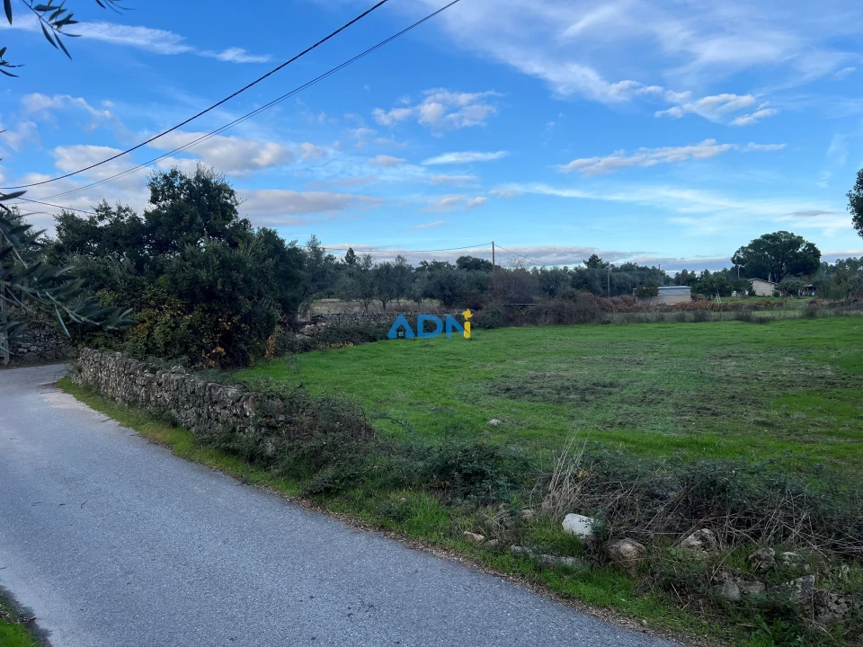 Quinta para Venda em Castelo Branco Foto 6