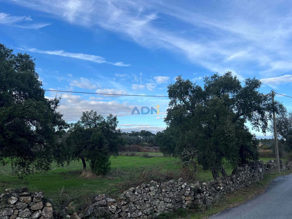 Quinta para Venda em Castelo Branco Foto 10