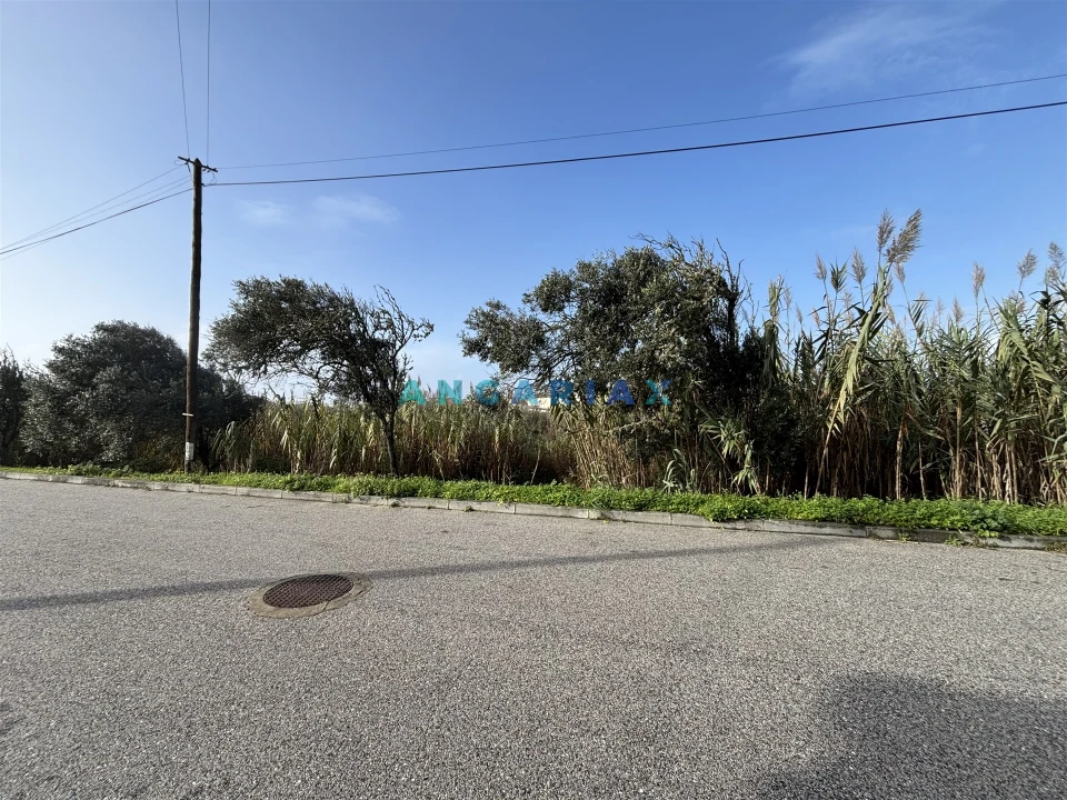 Terreno para Venda em Coimbrão Foto 2