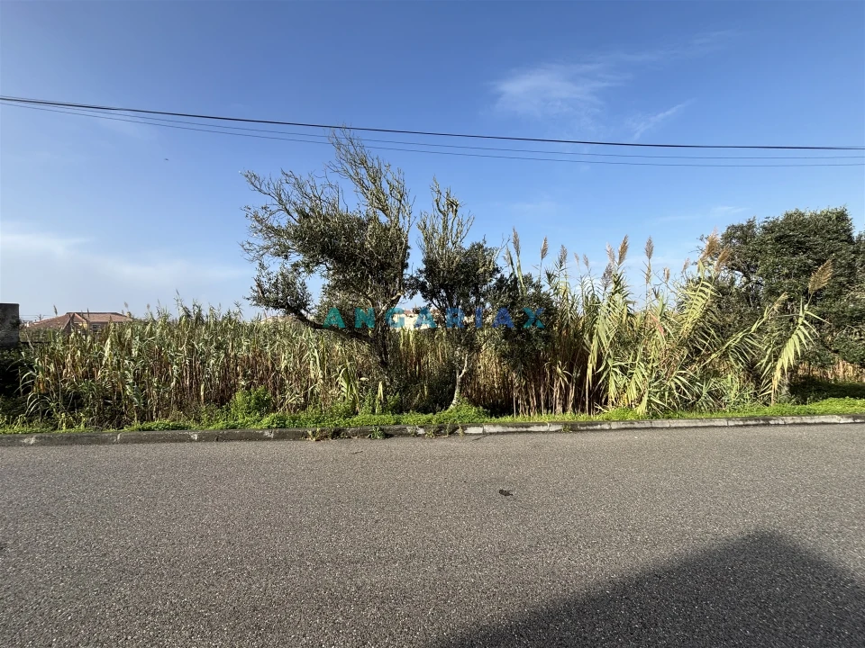 Terreno para Venda em Coimbrão Foto 4