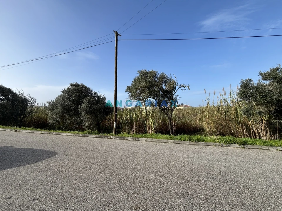 Terreno para Venda em Coimbrão Foto 5