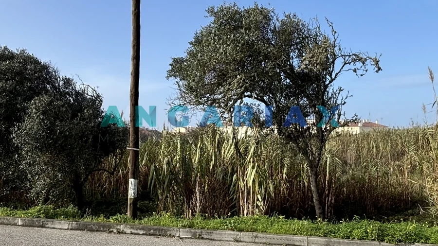 Terreno para Venda em Coimbrão