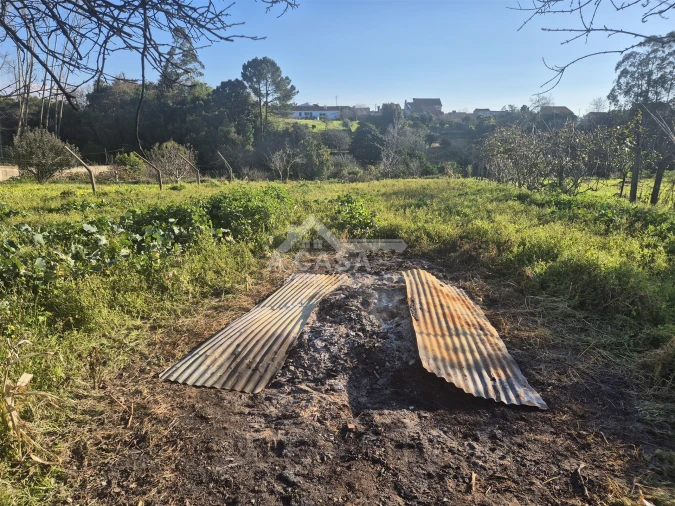 Moradia T3 para Venda em Ovar, São João, Arada e São Vicente de Pereira Jusã Foto 24