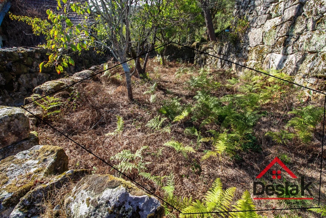 Moradia T3 para Venda em Destriz e Reigoso Foto 28