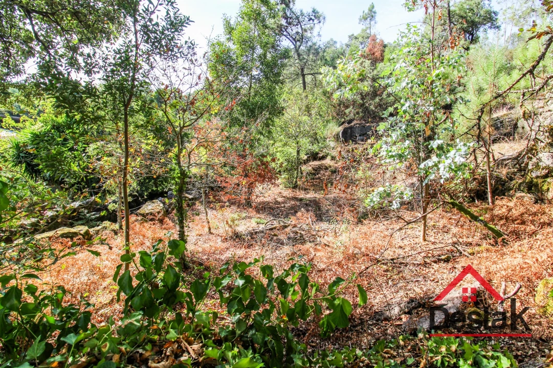 Moradia T3 para Venda em Destriz e Reigoso Foto 29